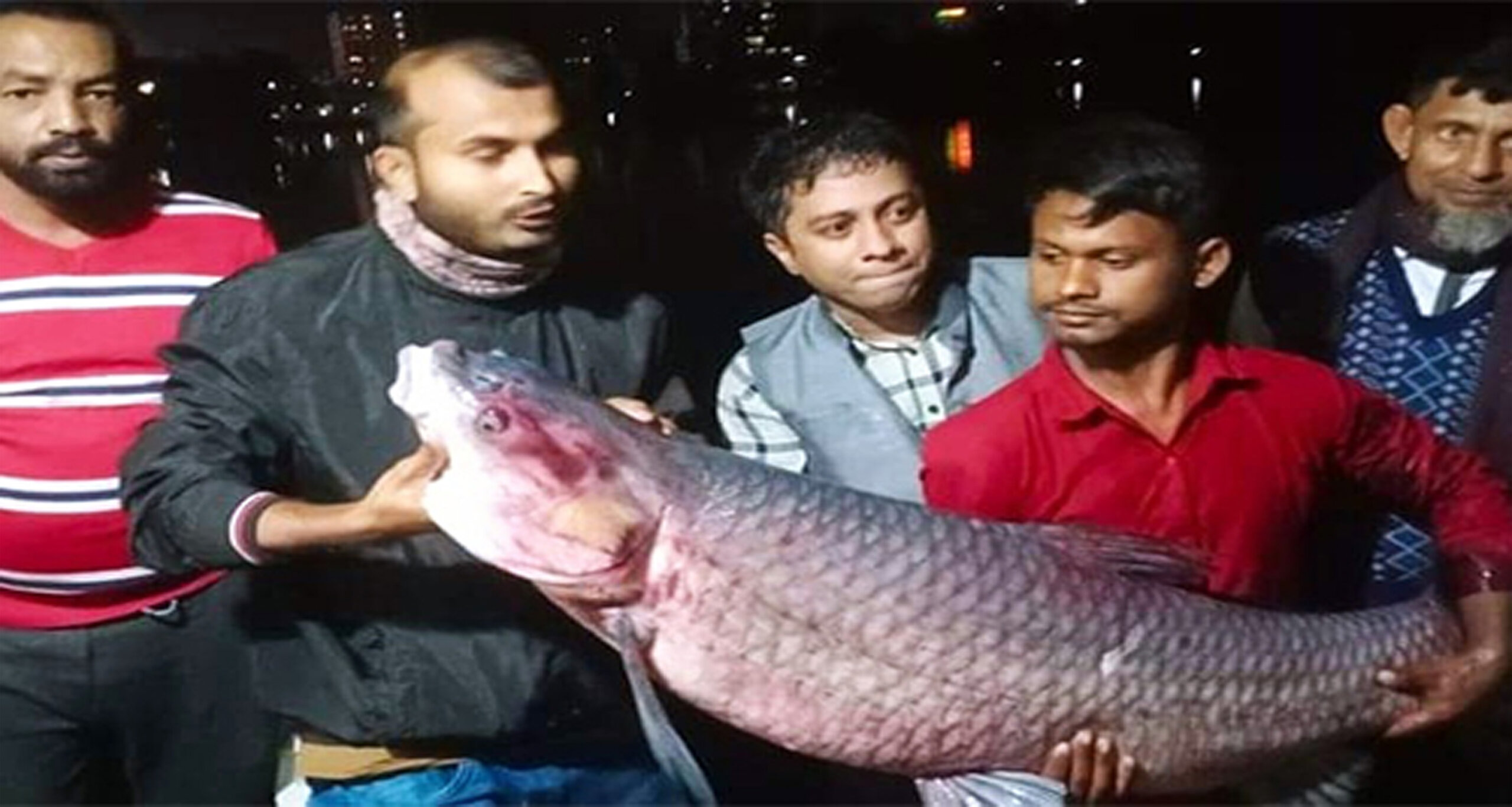 ব্ল্যাক কার্প