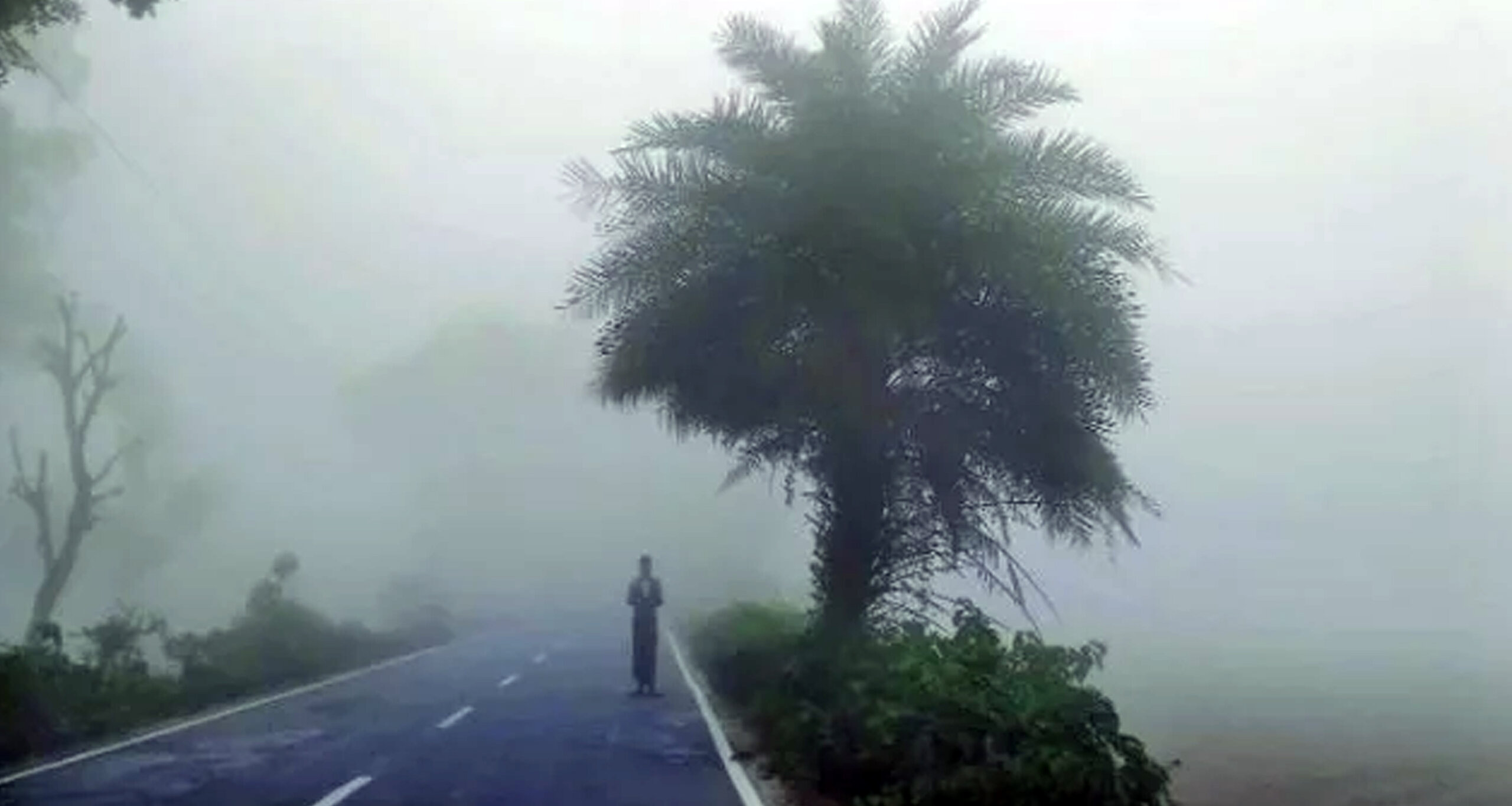শৈত্যপ্রবাহ
