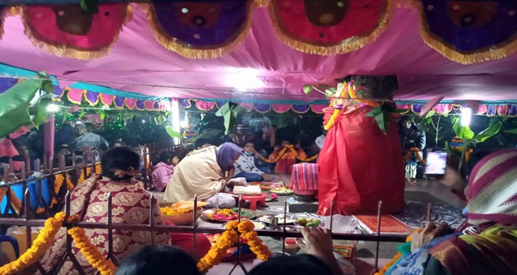 দুটি বৃক্ষের বিয়ে