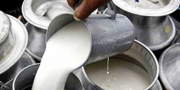 দুধের সঙ্গে যে খাবার