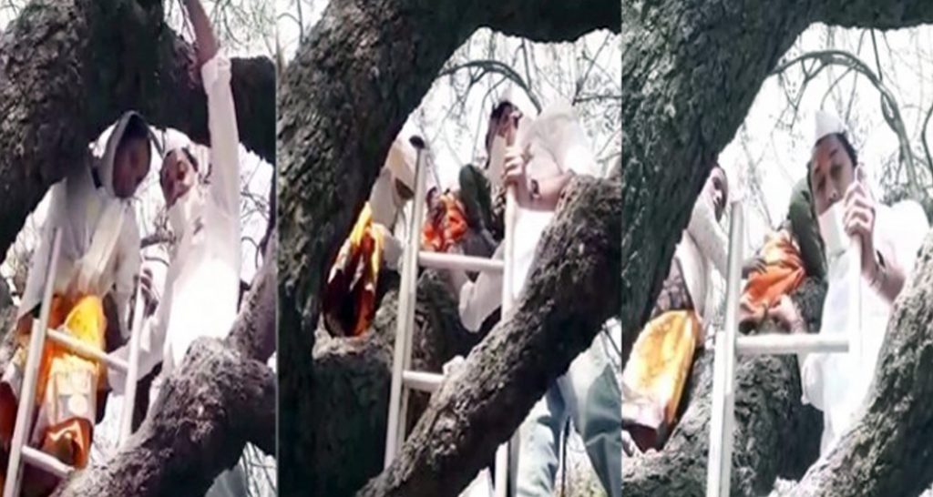 নারীরা