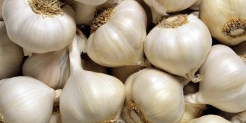 ১ মণ রসুন