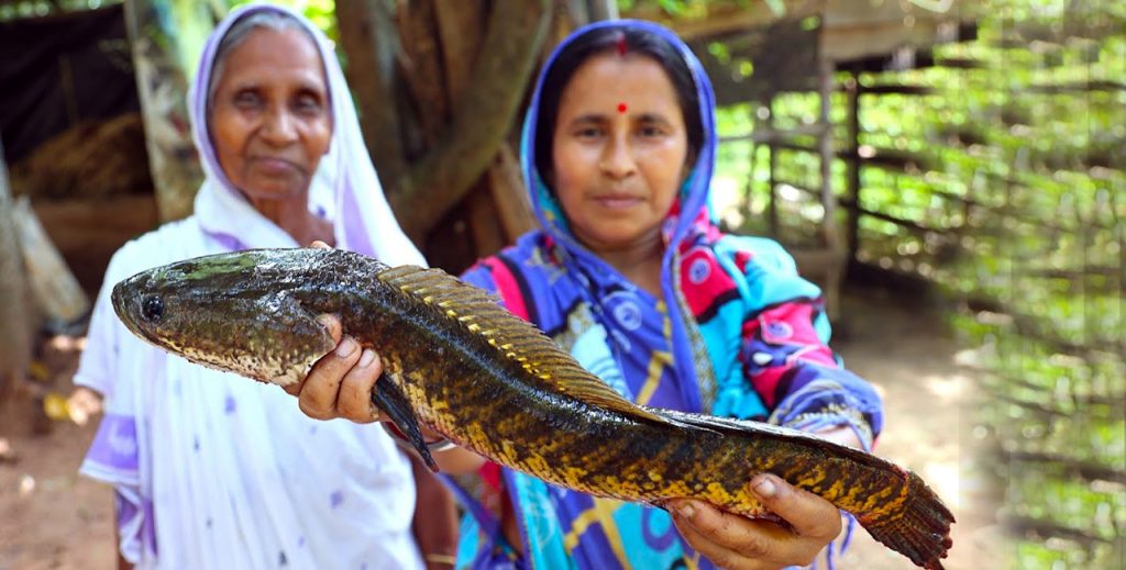 ৮২ বছর বয়সী সেই দাদিকে