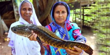৮২ বছর বয়সী সেই দাদিকে