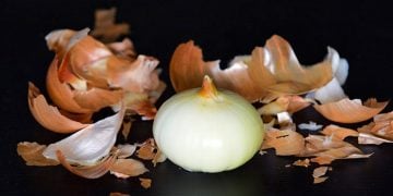পেঁয়াজের খোসা