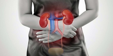 কিডনি রোগ