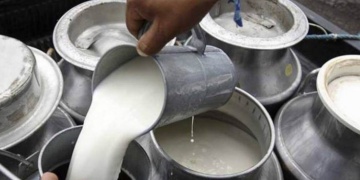 গরুর দুধের
