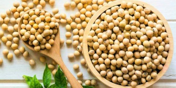 সয়াবিন