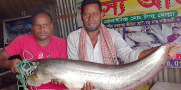 বোয়াল মাছ