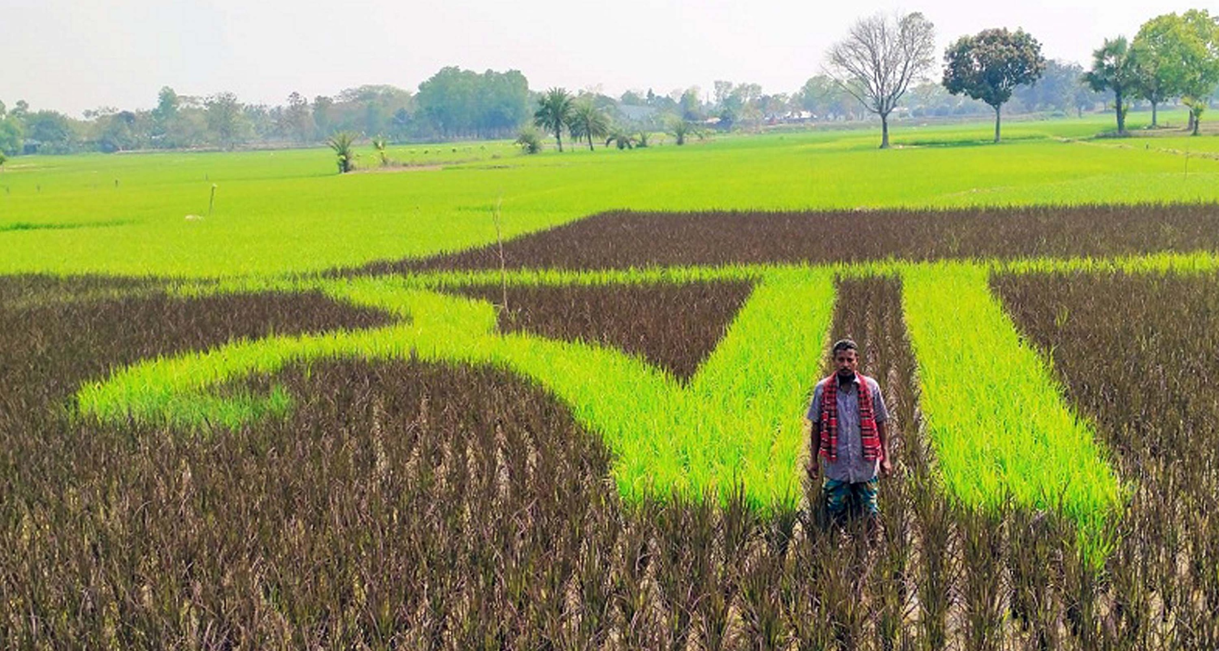 মায়ের প্রতি ভালবাসা