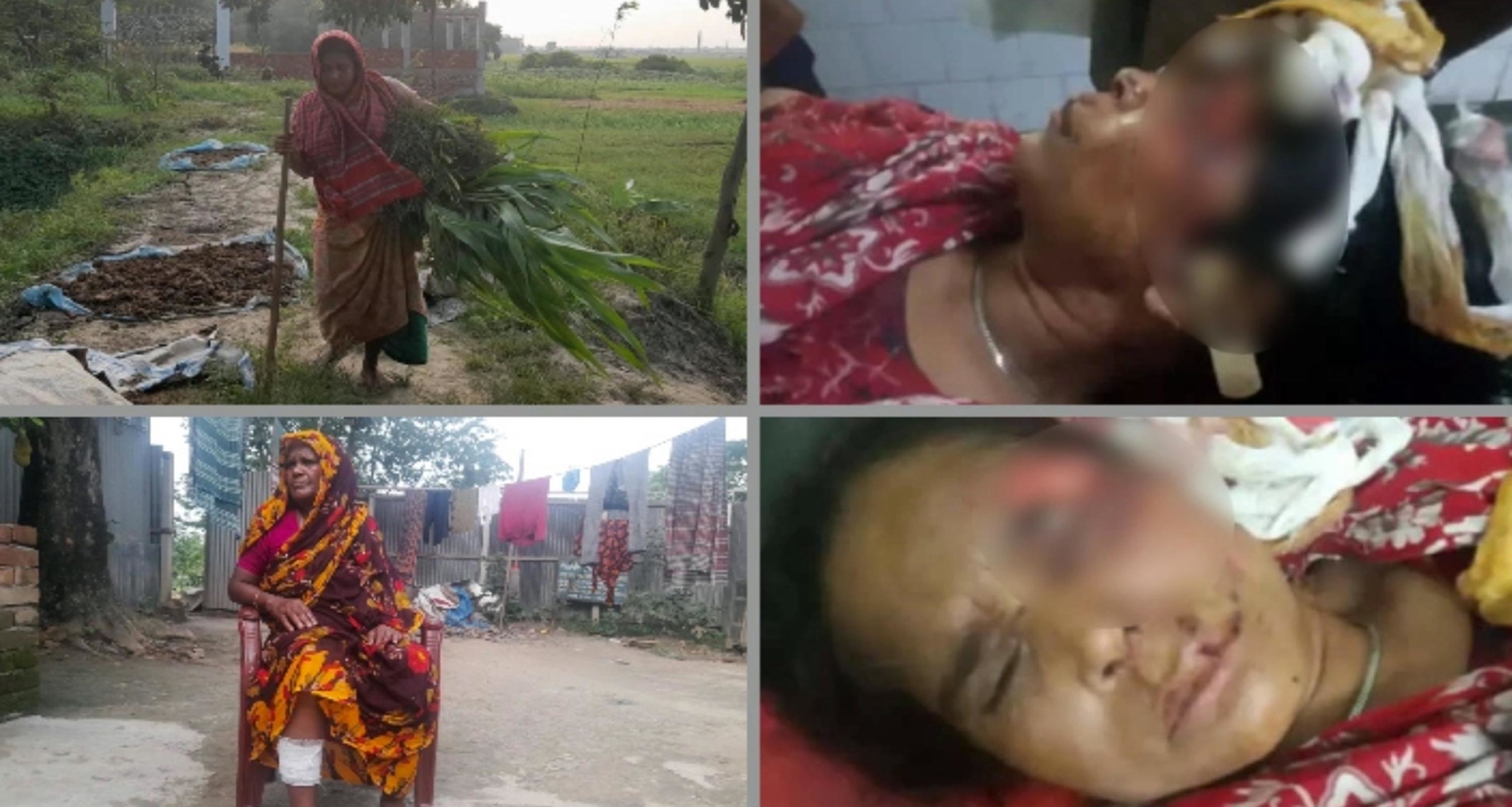 অচেনা প্রাণীর আক্রমন