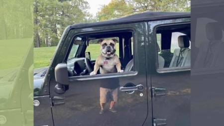 মানুষের মতো পা