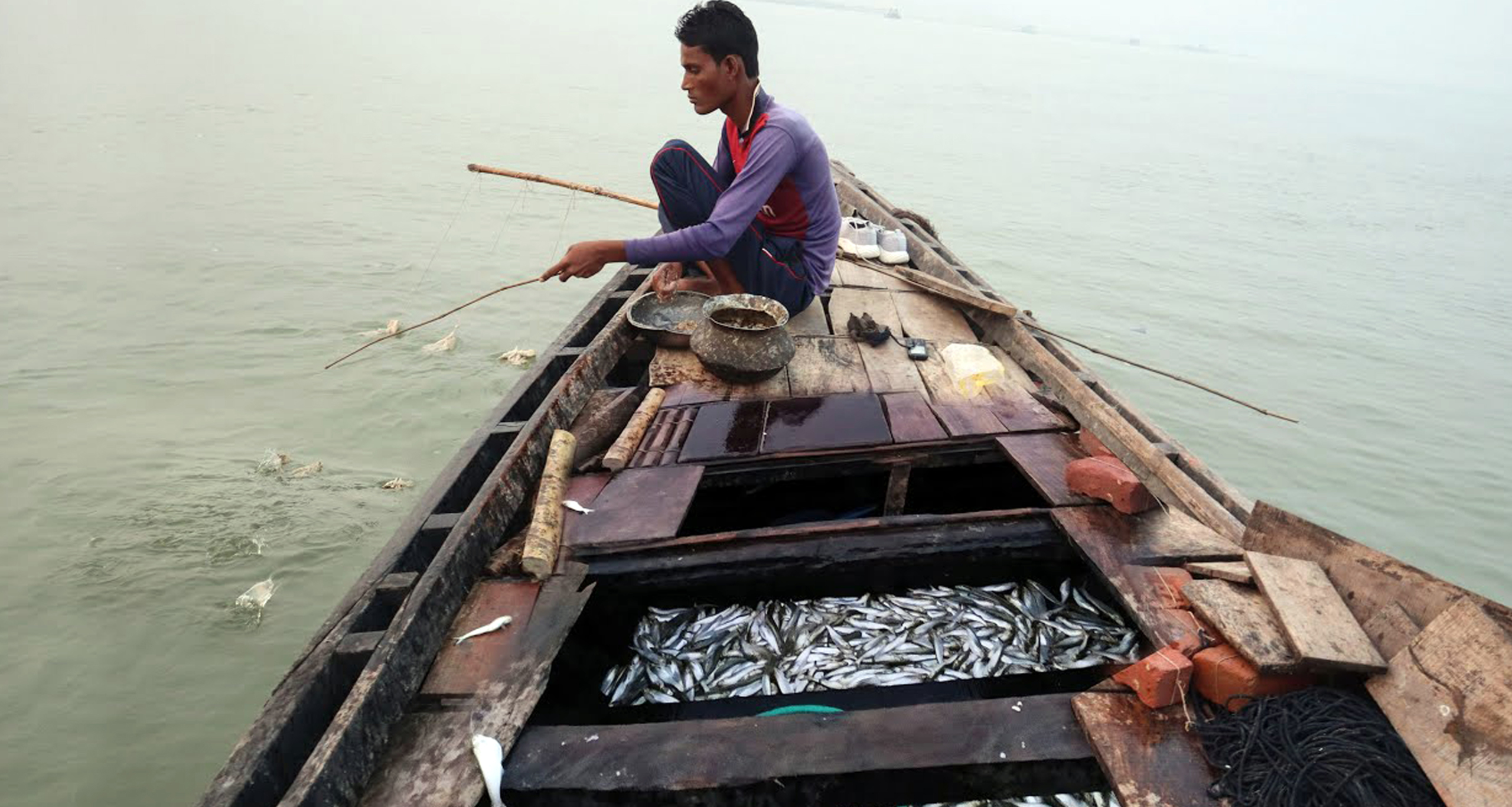 পদ্মায় বড়শি দিয়ে ঘাউড়া মাছ