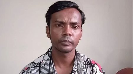 হিরো আলম