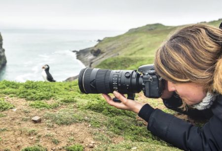 Bird photography