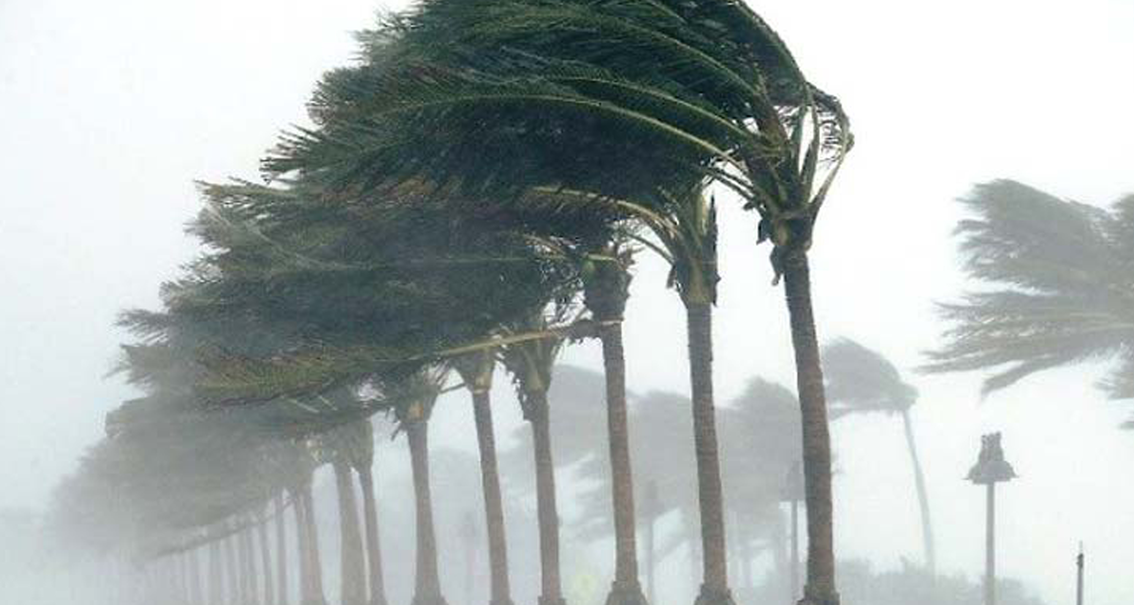 ঝড়ের আভাস