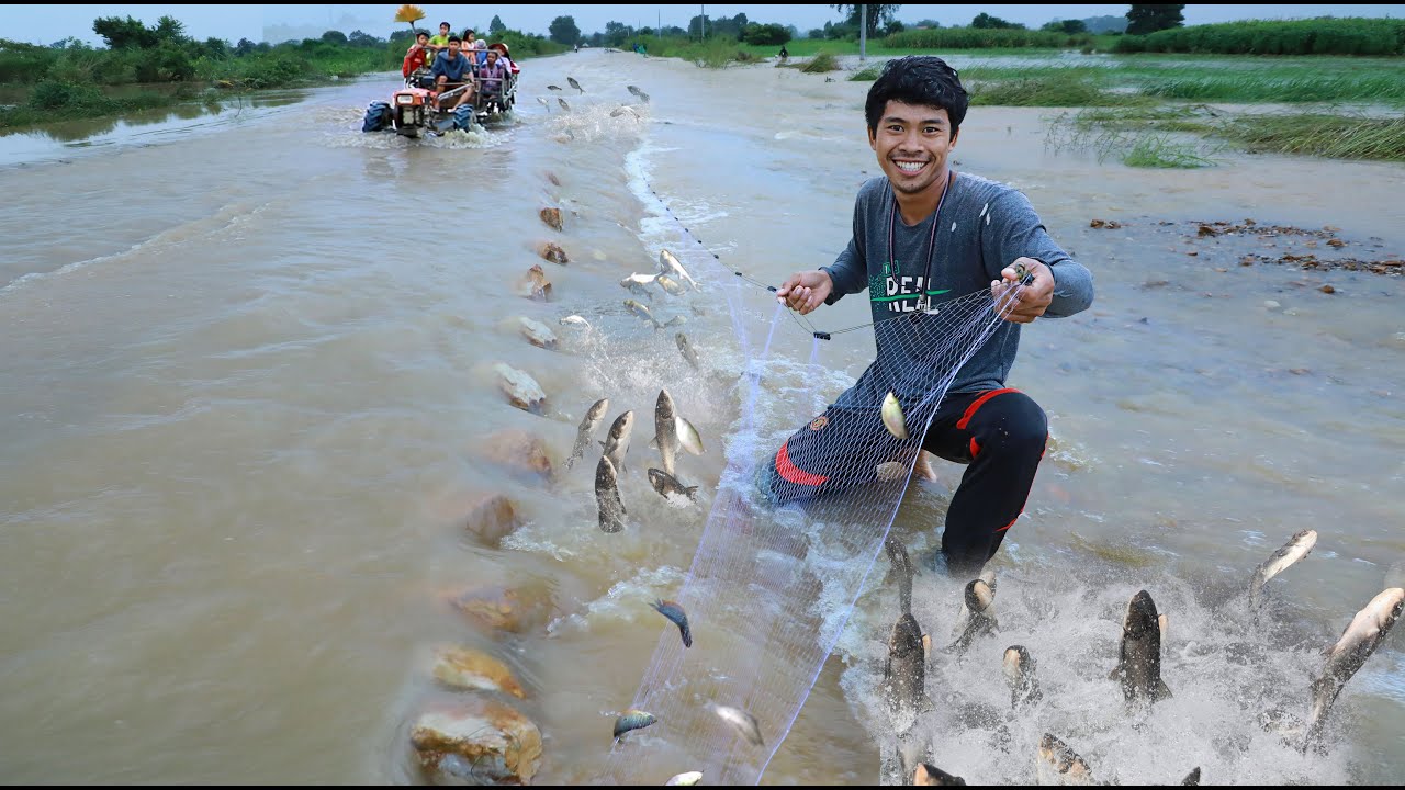 প্রচুর মাছ ধরা