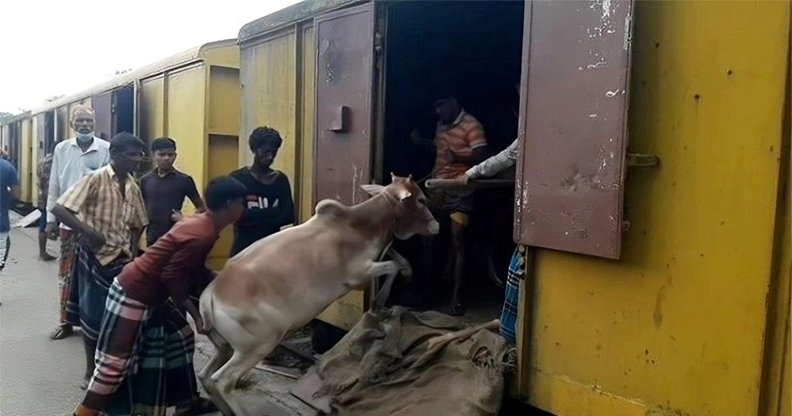 ক্যাটল স্পেশাল ট্রেন সার্ভিস