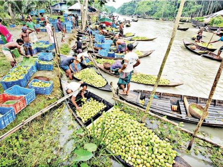 ভাসমান পেয়ারার হাট