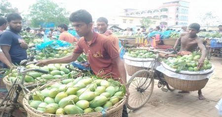 আমের দাম পেয়ে খুশি ব্যবসায়ীরা