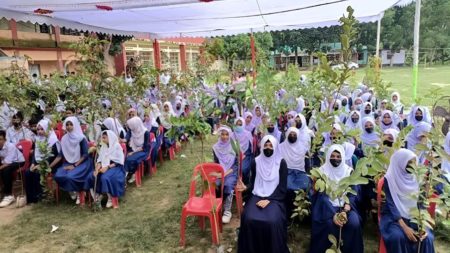 আমগাছের সঙ্গে- আমড়া, কাঁঠাল গাছের সঙ্গে পেয়ারা গাছের বিয়ে!