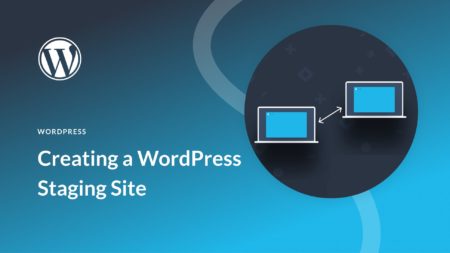 WordPress Staging Site