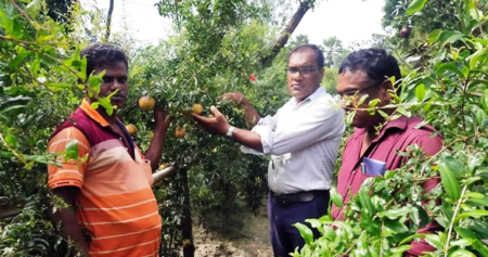 বেদেনা