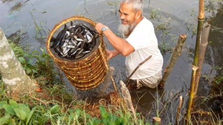 গ্রাম বাংলার মাছ ধরার অসাধারণ দৃশ্য