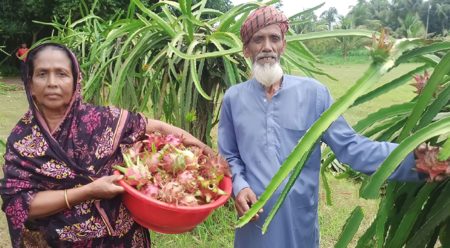 ড্রাগন