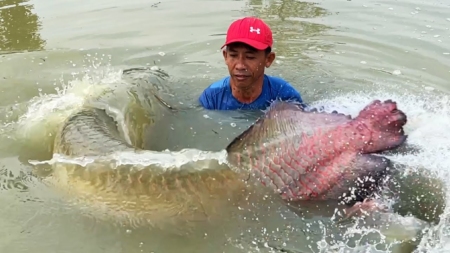 বড়শি দিয়ে মাছ শিকার