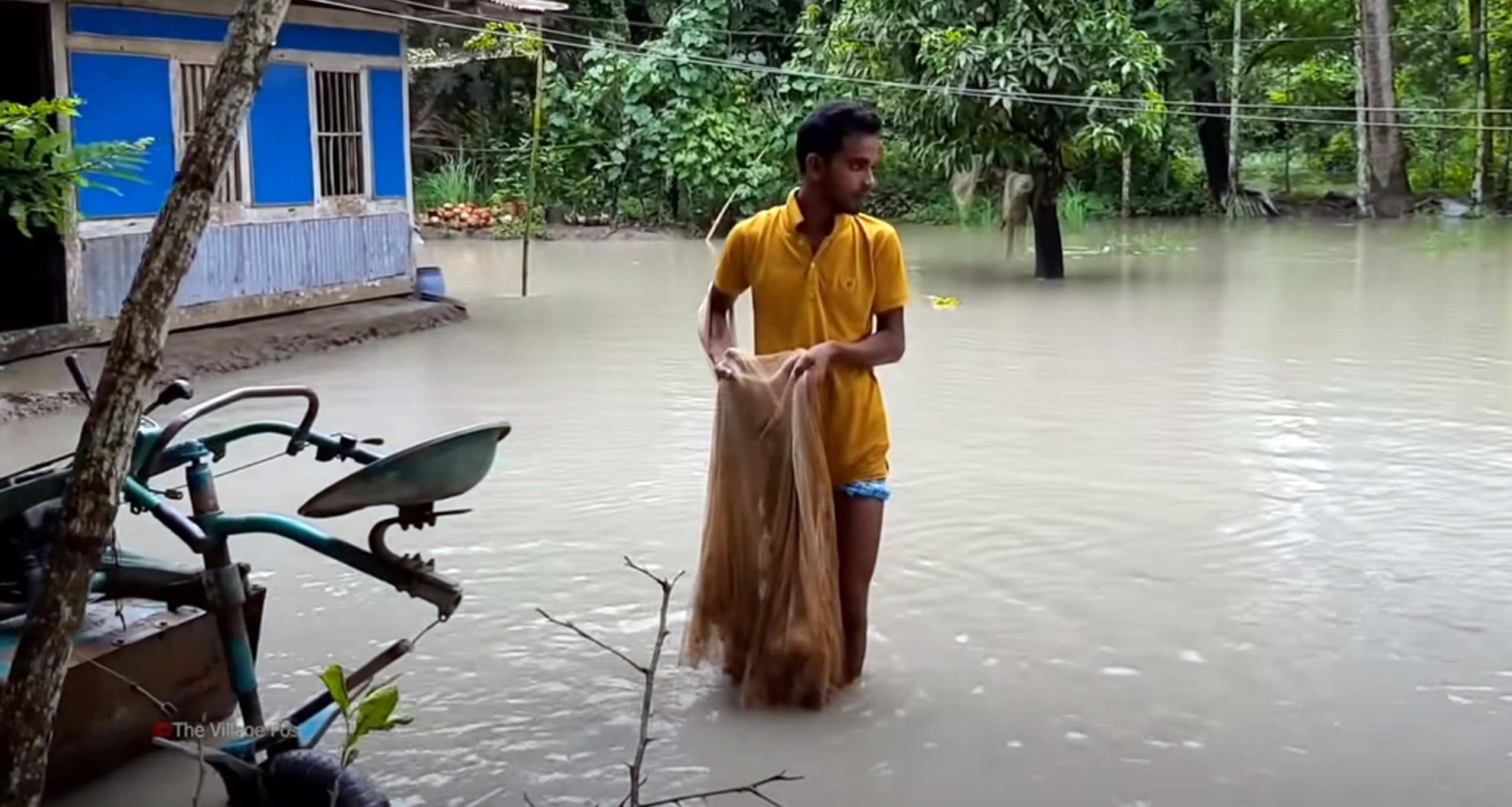 বাড়ির উঠানে