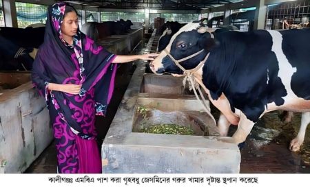 ইবি থেকে এমবিএ পাশ করে গরুর খামারে কোটিপতি জেসমিন!