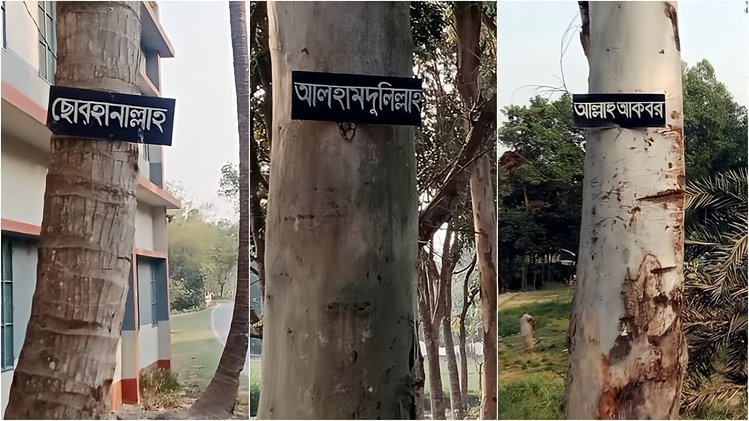 আলহামদুলিল্লাহ