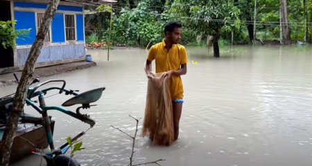 বাড়ির-উঠানে