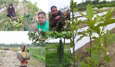 ইঞ্জিনিয়ারিং পেশা ছেড়ে সফল কৃষি উদ্যোক্তা আজিজুর