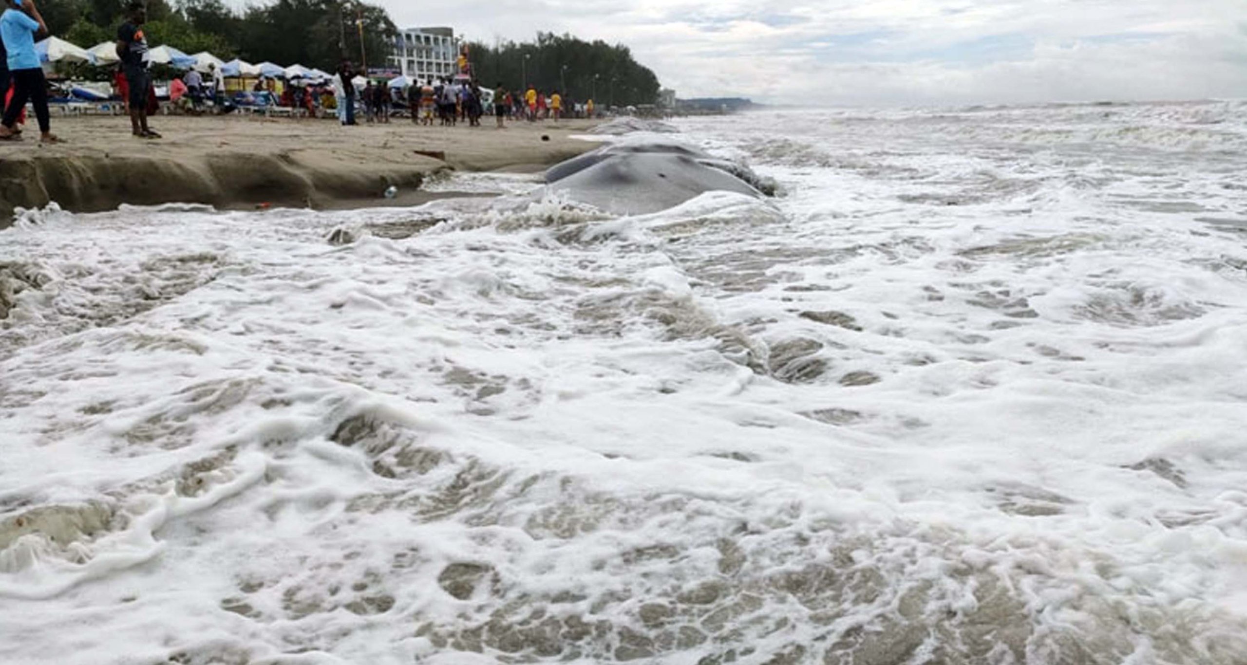 ঘূর্ণিঝড় সিত্রাংয়ের প্রভাব