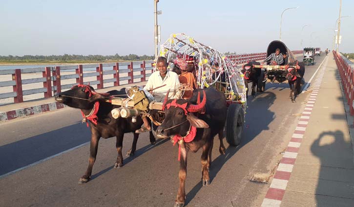 মহিষের গাড়িতে বর যাত্রা