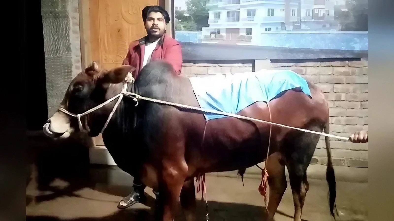 ফাইনাল