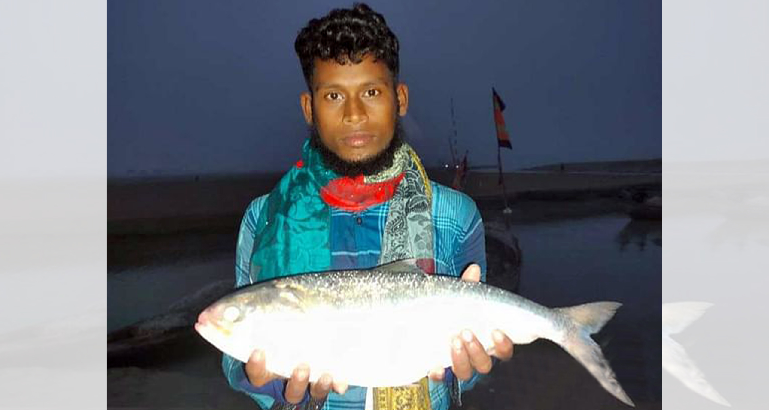 ইলিশ মাছ