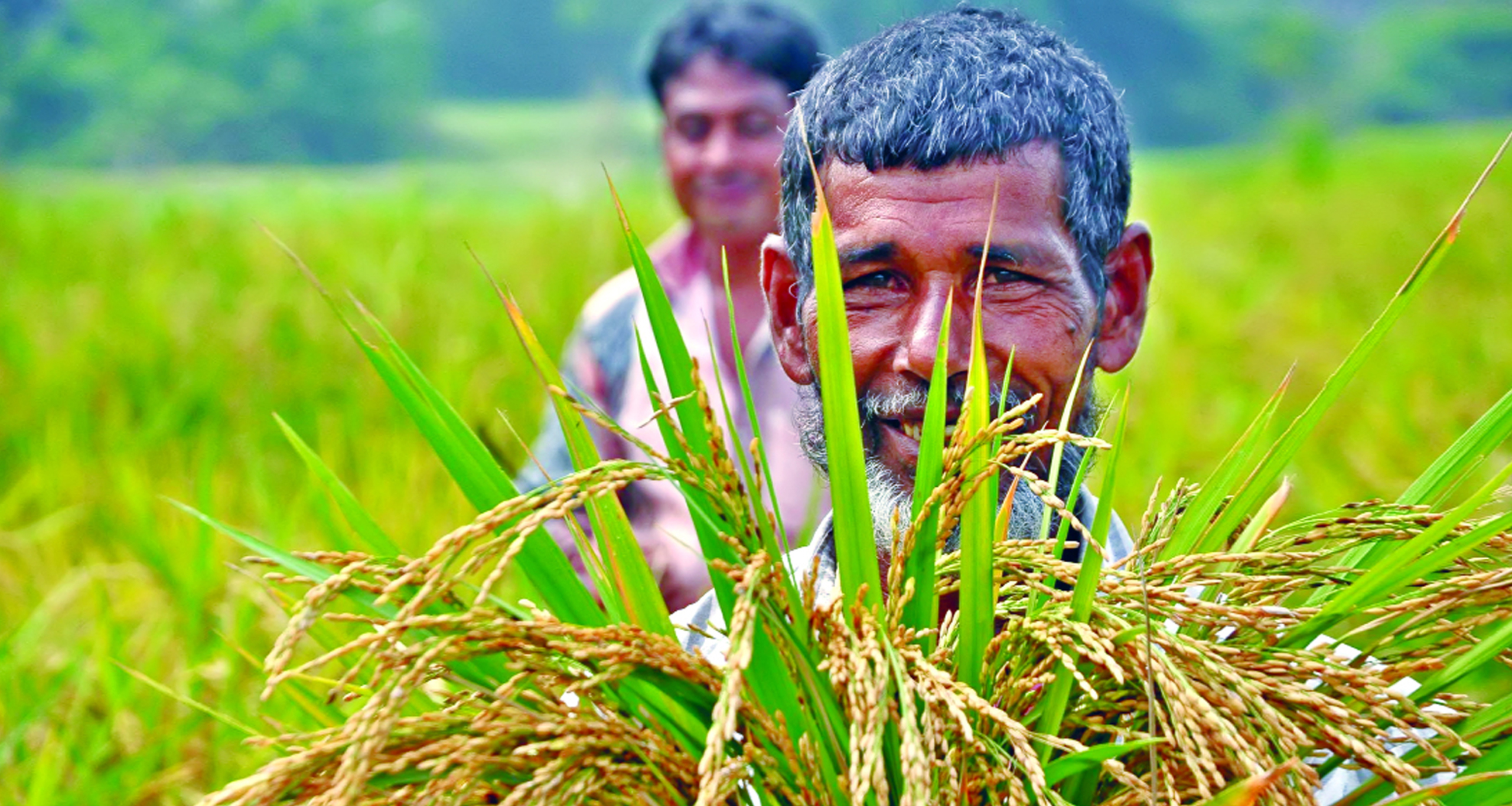 কৃষি প্রণোদনা