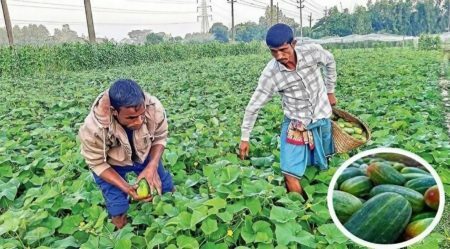 ক্ষিরা