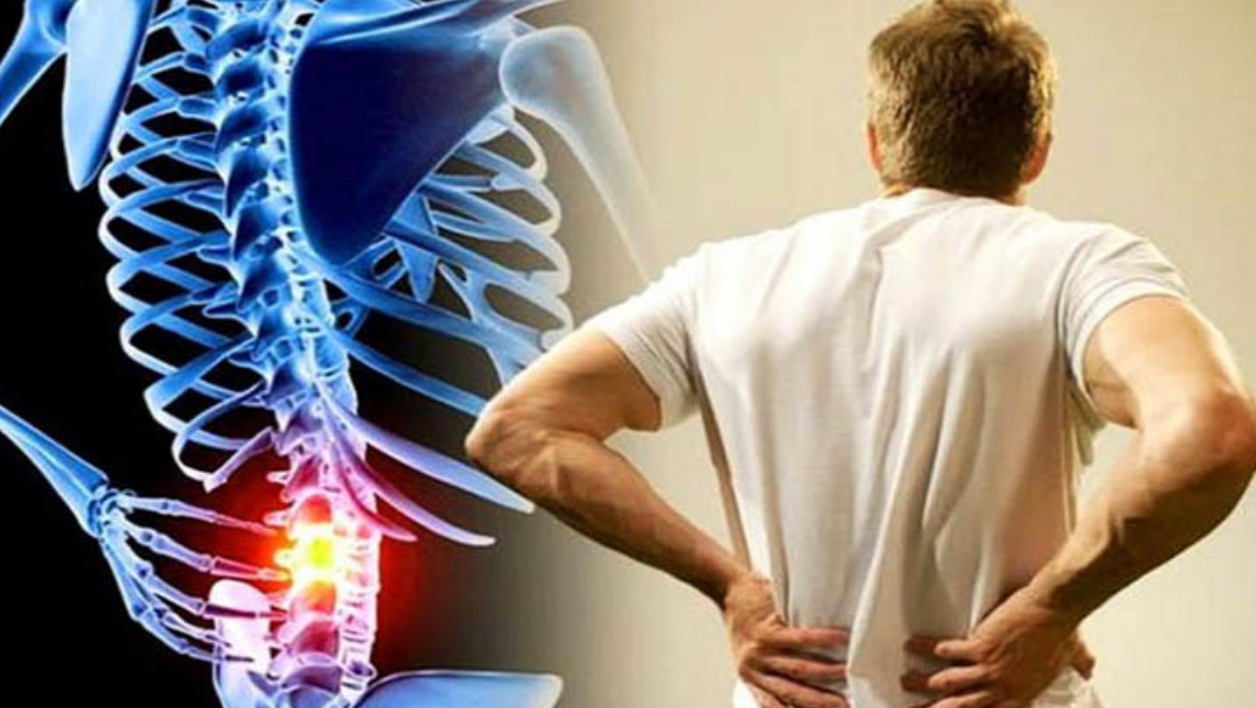 হাড়-ক্ষয়