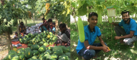 বিষমুক্ত সবজি চাষে সাফল্য দুই শিক্ষিত যুবকের