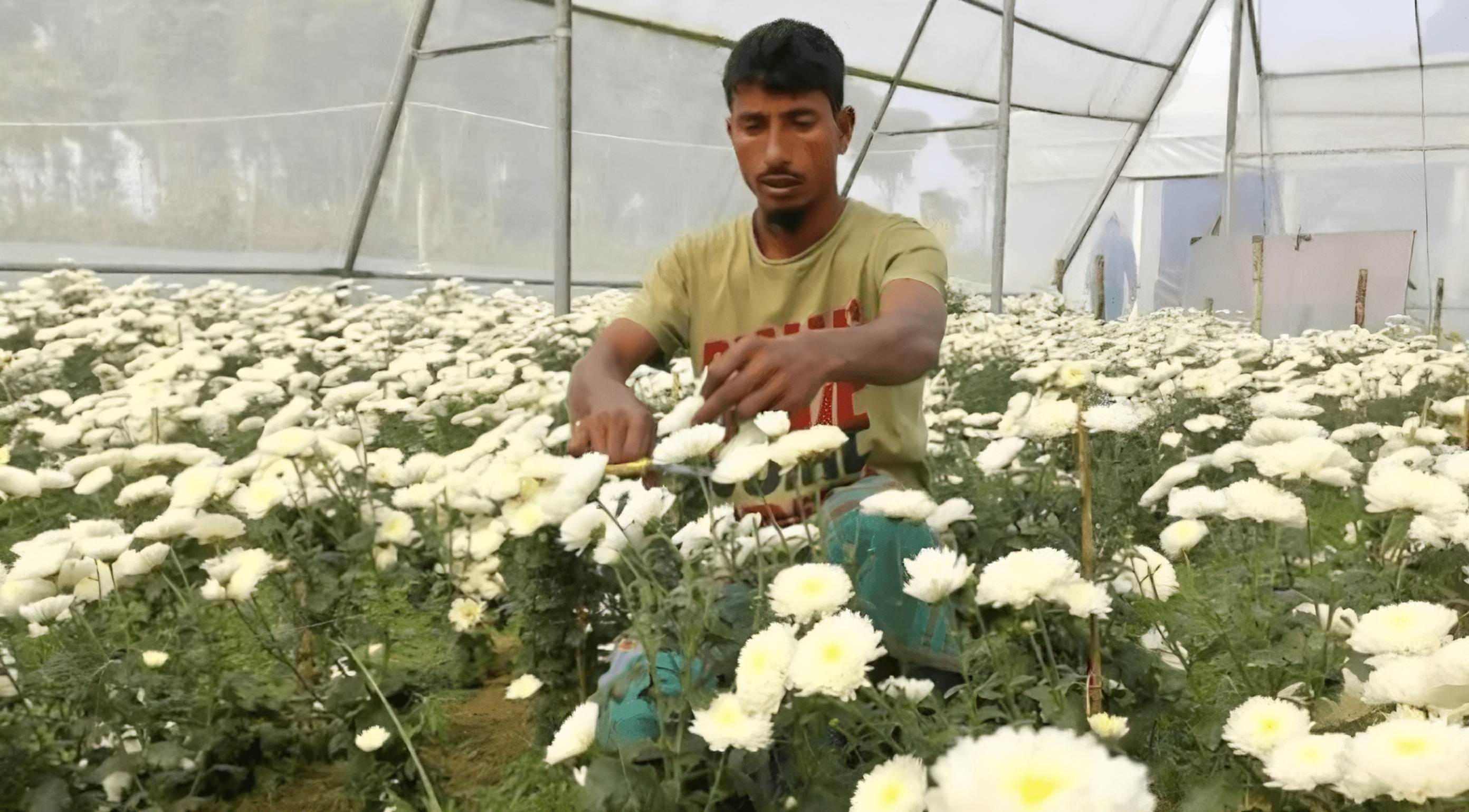 ফুল বিক্রি