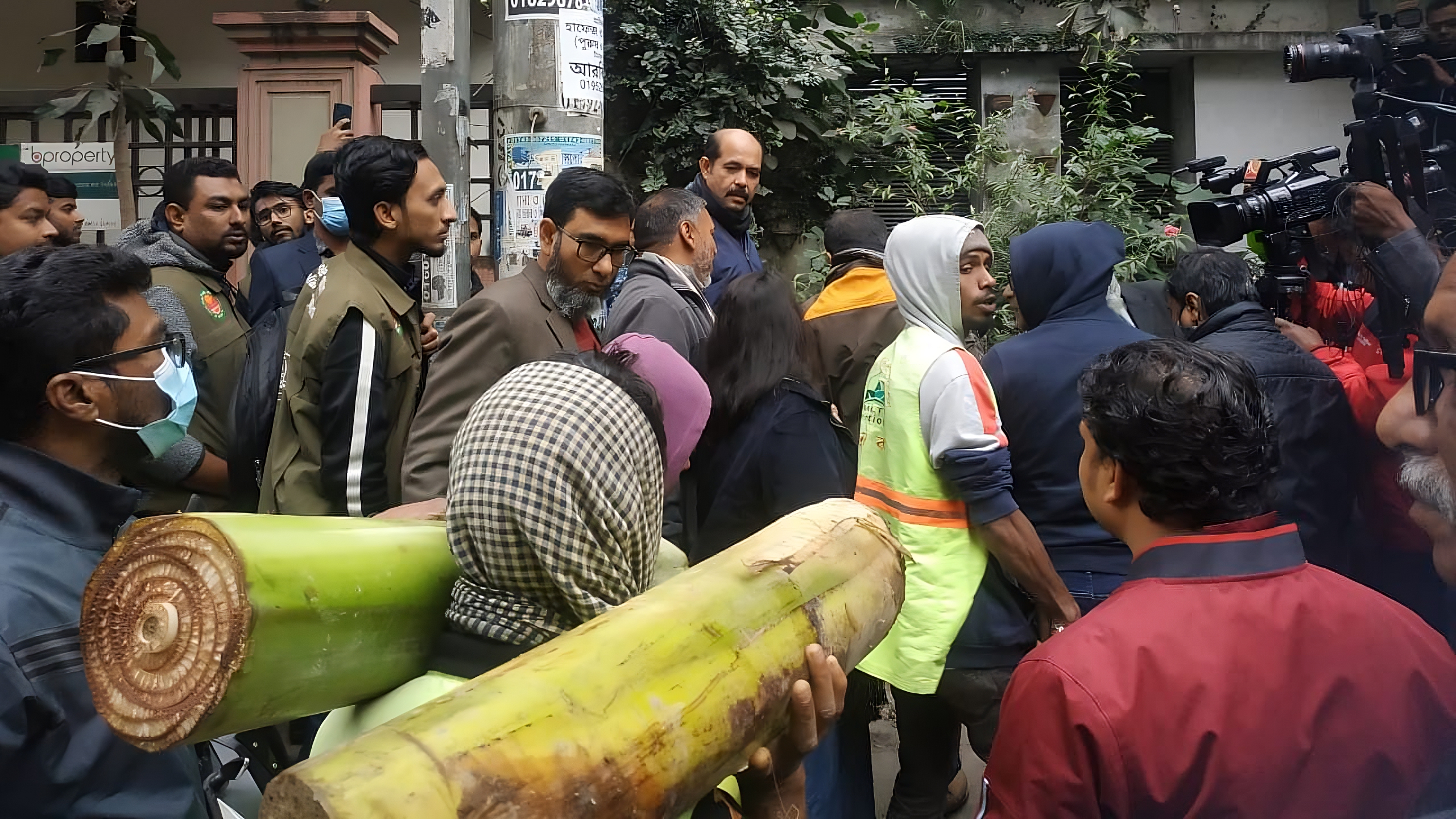 মেয়র আতিকের কলা গাছ থেরাপি