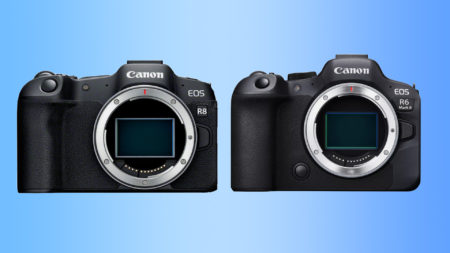 Canon R6 ও R8