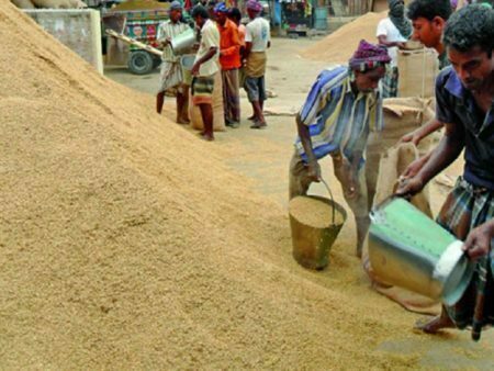 সরকারি গুদামে ধান সরবরাহের লক্ষ্যমাত্রা ৪০ হাজার টন, মিলেছে মাত্র এক টন