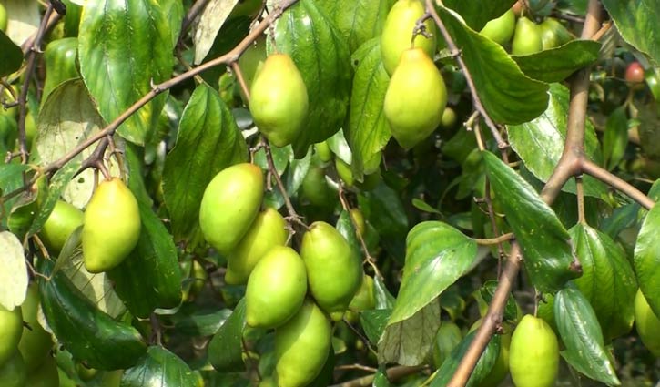 কুল