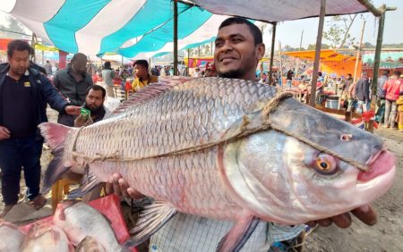 কোটি টাকার মাছ বিক্রি