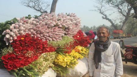 ফুল-১